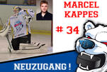 RL-Meister für die Eisbären