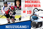 Dorfner verstärkt die Eisbären