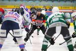 RL: Eisbären zu Gast beim Meister