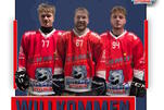 Eisbären bekommen Zuwachs